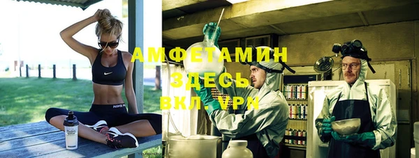 дмт Алексин