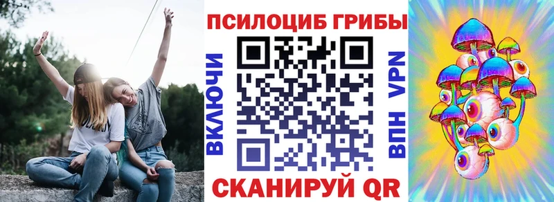 купить Новошахтинск Псилоцибиновые грибы Psilocybine cubensis